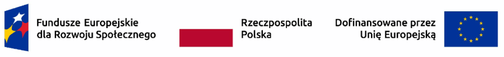 Logotypy Fundusze Europejskie, Rzeczpospolita Polska,  Dofinansowane przez Unię Europejską